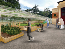 Artist’s impression of dedicated spaces for community gardens.