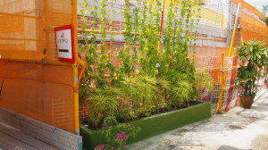 Potted plants located around the worksite to create a more pleasant environment