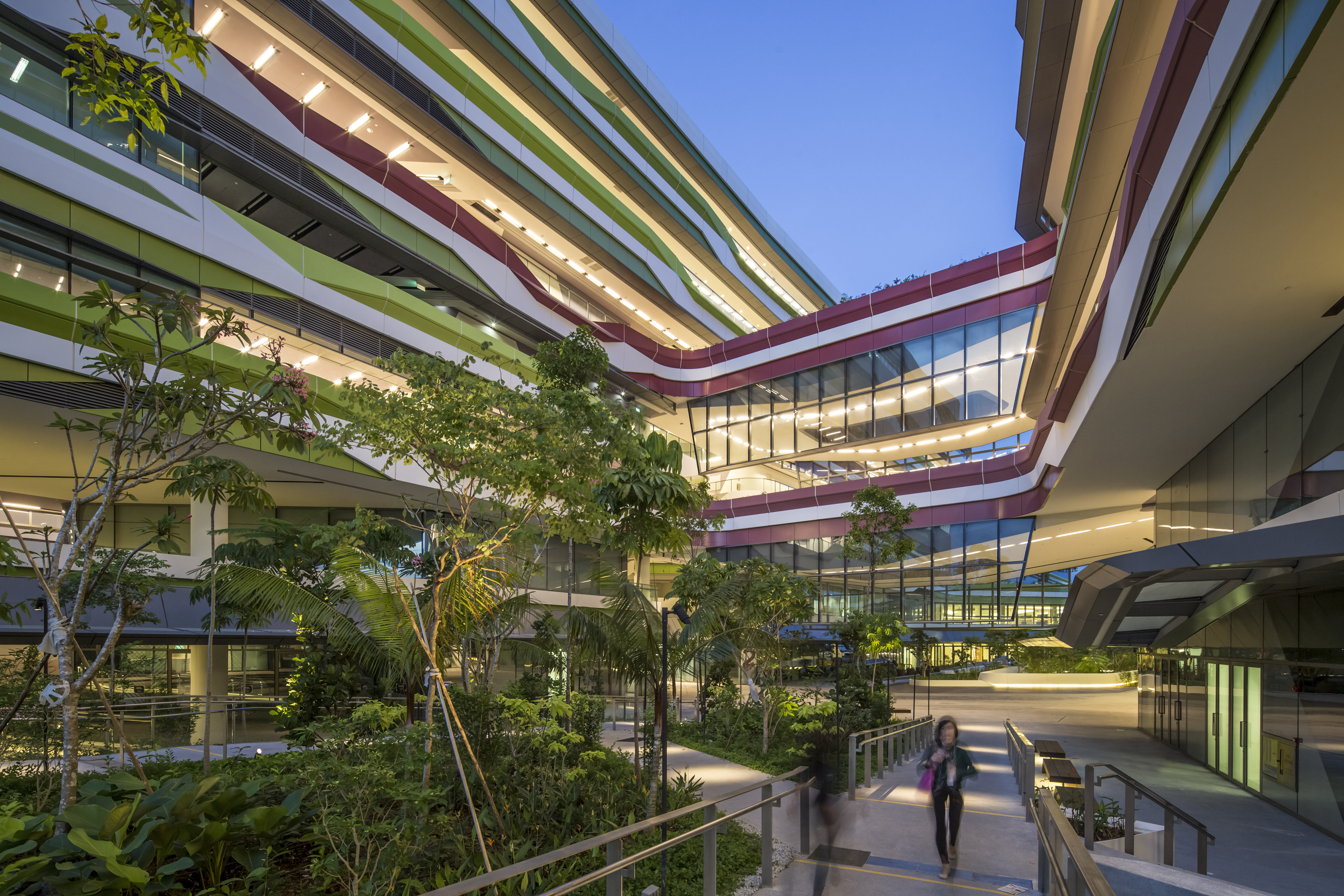 Tree shaded walkways also serve as the external circulation route around SUTD to encourage a walkable, low carbon campus